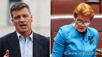 Hanson says Coalition out of touch as Taylor ducks dire polling