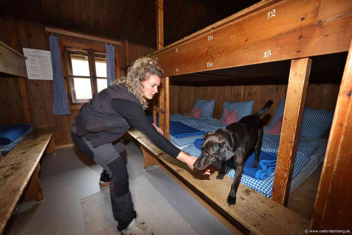 Spürhund und Mikrowelle: Berghütten kämpfen gegen Bettwanzen