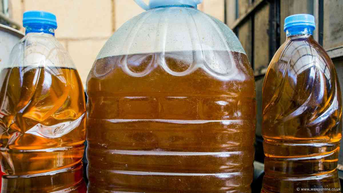 Binman finally settles debate on where to put used cooking oil — not the food waste bin