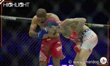 UFC White House highlight video: Sean O'Malley TKOs Aiemann Zahabi, salutes troops