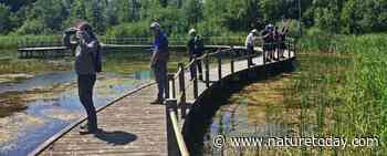 Excursies voor libellentellers