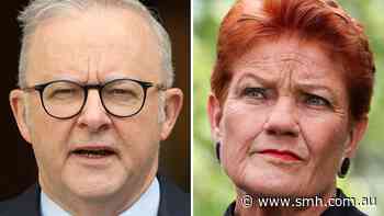 Albanese takes swipe at One Nation’s foreign policy credentials