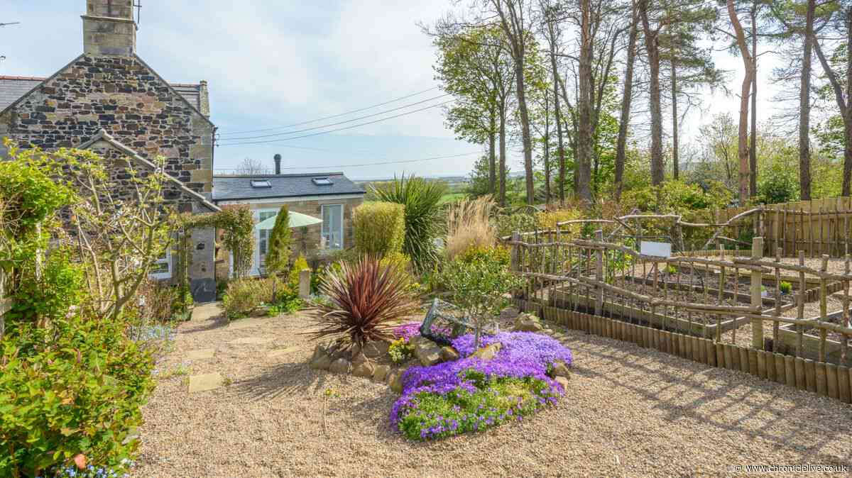 'Spellbinding' Northumberland hideaway with views of woodland and red squirrels
