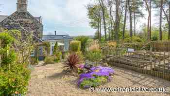'Spellbinding' Northumberland hideaway with views of woodland and red squirrels