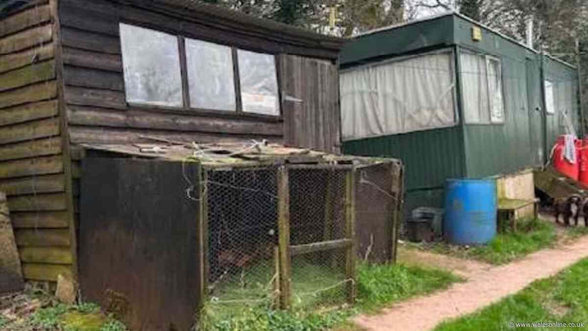 Man has lived in caravan without permission for 30 years