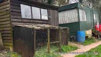 Man has lived in caravan without permission for 30 years