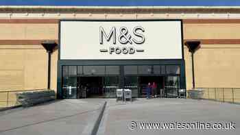 I always shop at Aldi and Sainsbury's — but I always buy 1 thing at M&S