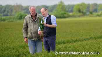 What day is Clarkson's Farm on?