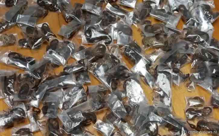 150 giftige schorpioenen onder kleding verstopt: man gepakt op luchthaven na tip