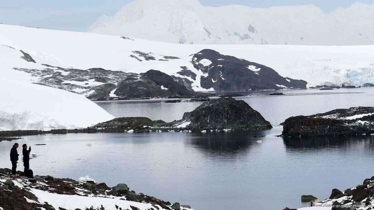„Das ist absolut verrückt“: Antarktis plötzlich braun, grau und grün