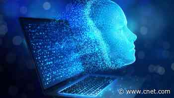 The Web Is Now Mostly Traveled by AI, Not People