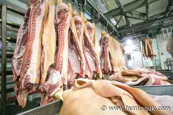 EU rules out CO2 pig stunning ban as UK weighs phase-out