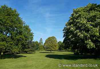Huge South African festival 'Lekker in London’ planned for city