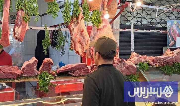 مهنيون يبررون غلاء أسعار اللحوم