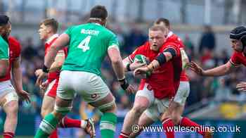 Wales star ruled out of summer to leave Steve Tandy's side exposed
