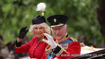 'I met King Charles and he told me Queen Camilla would be so jealous'