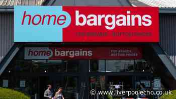 Home Bargains £15 ornament adds a 'charming rustic touch' to gardens