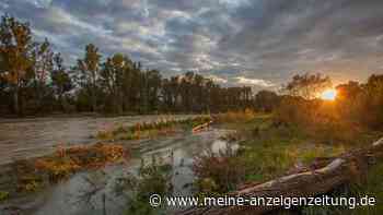 Ruhige Wanderung an den Isarauen bei Moosburg