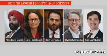 Ontario Liberal leadership candidate vows to make health care more ‘competitive’