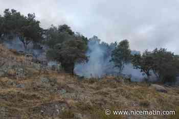 Un incendie en cours sur une colline près de Cannes, un hectare de végétation déjà parti en fumée