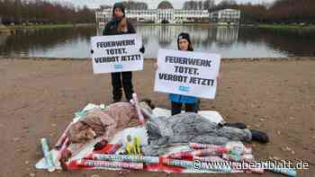 Tierschützer wollen in Hamburg mit drastischer Aktion für Böllerverbot eintreten