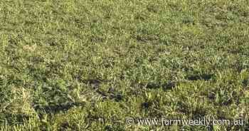 Fertiliser supply sparked change leading to a pasture and crop switch up
