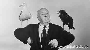 Hitchcock-Meisterwerk Die Vögel wird Serie
