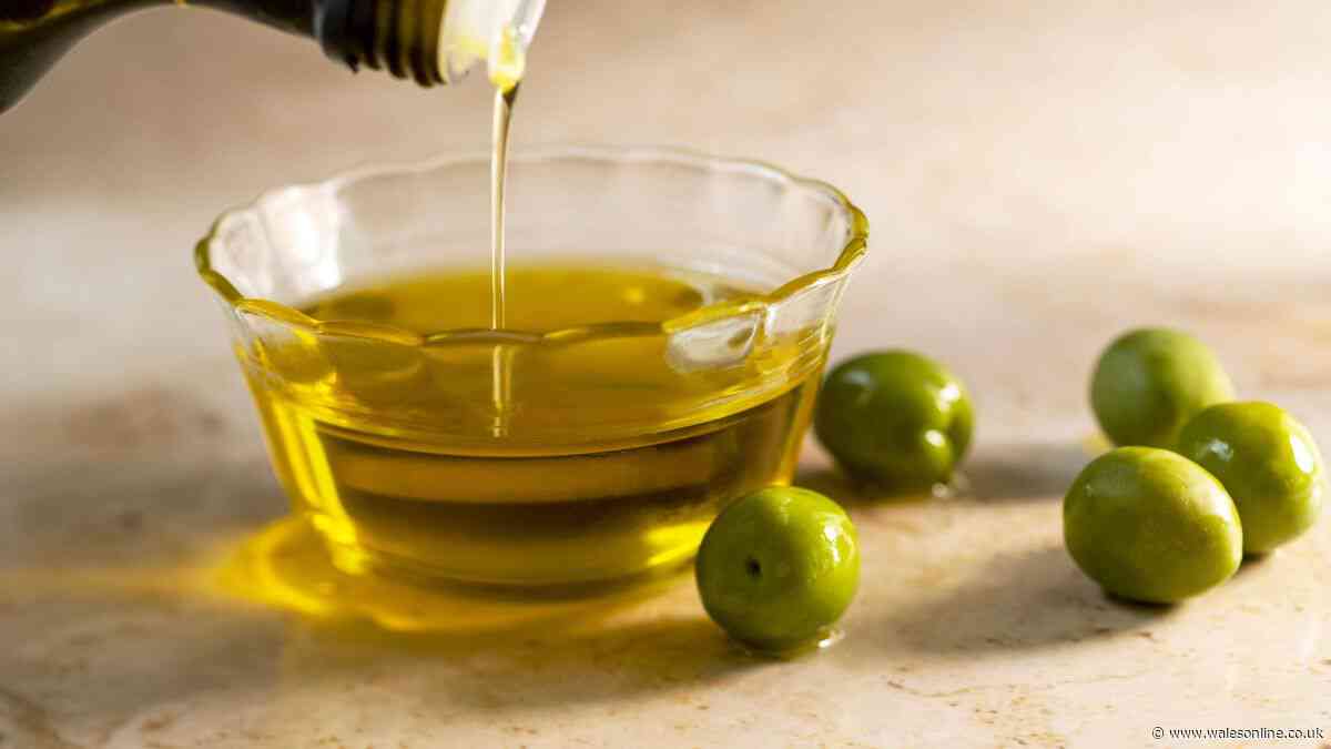 What is the difference between olive oil and extra virgin olive oil