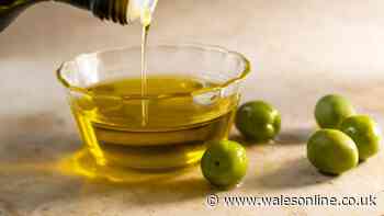 What is the difference between olive oil and extra virgin olive oil