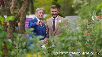 Alan Titchmarsh shares what he discovered about David Beckham during joint project
