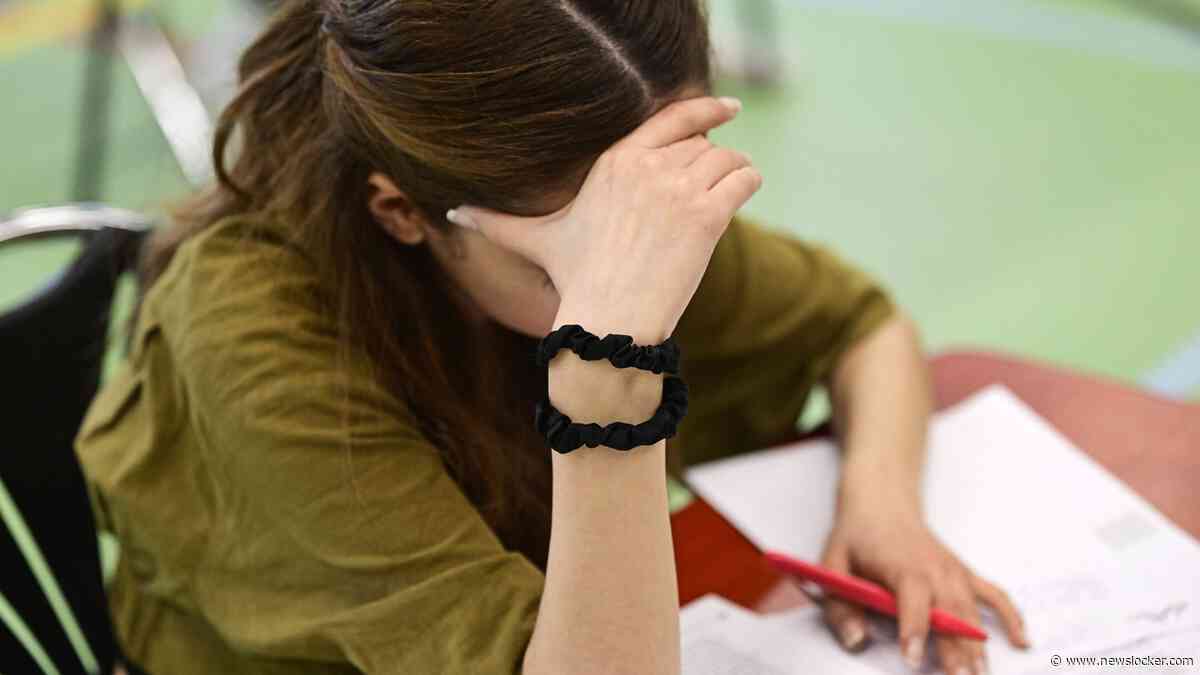 Praat mee: Leggen we te veel druk op scholieren om een diploma te halen, zoals deze experts vinden?
