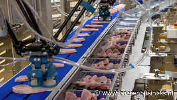 Vion vindt koper voor Duitse food service-tak