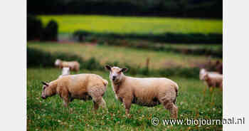 Registratie geopend voor Europees bio-congres in Cork