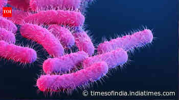 Shigella toll rises in Kerala: Seven-year-old fourth victim this year