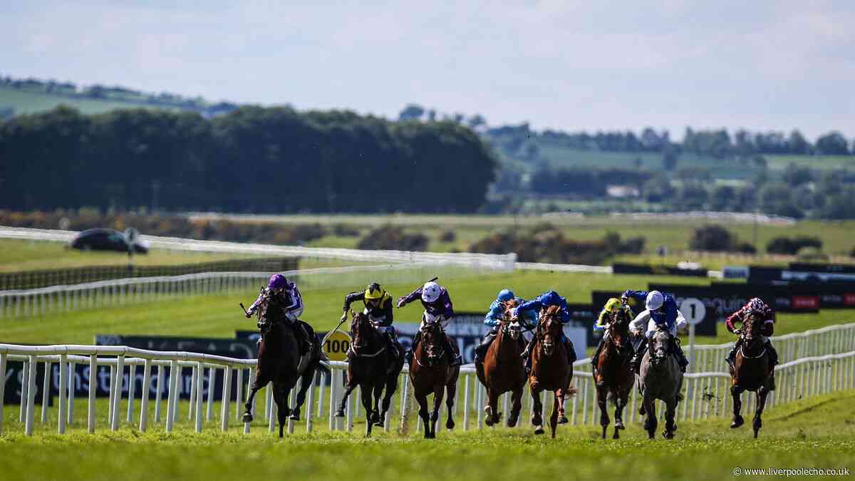 Royal Ascot 2026 Day One: Gstaad to win the St James's Palace Stakes
