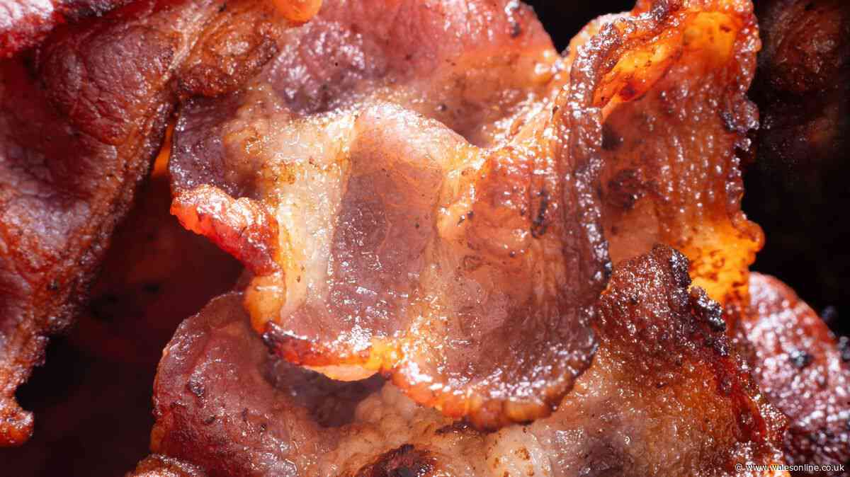 Get crispy bacon without frying with chef's alternative method