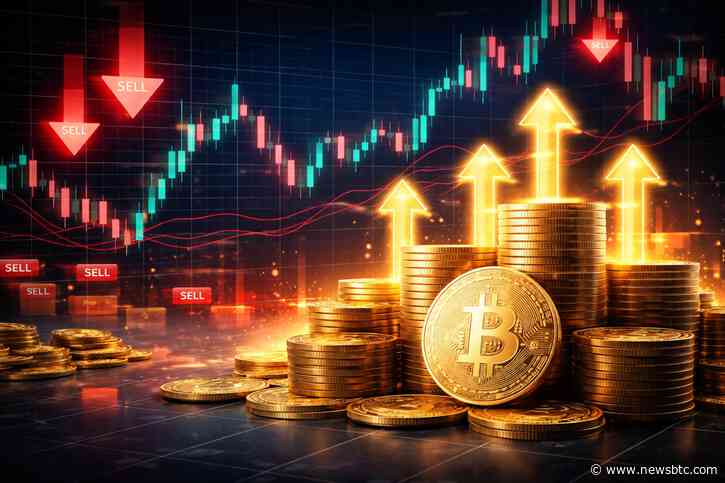 Bitcoin ETFs Snap Outflow Streak While Ether Funds Stay Under Pressure
