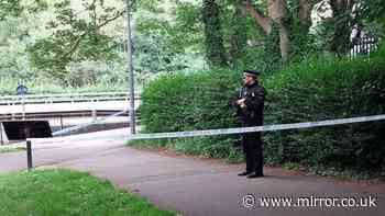 Two charged with murder of 'kind soul' in stabbing attack