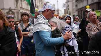 Palestine Action BANNED from Britain as judges rule Home Office was allowed to make them a proscribed organisation