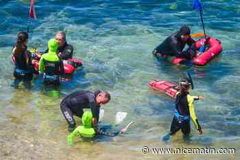 Plongée en scaphandre, apnée, nage avec palmes : une centaine de jeunes à la découverte de la mer à Six-Fours-les-Plages