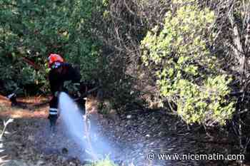 Les sapeurs-pompiers signalent un feu de broussaille à Pierrefeu-du-Var