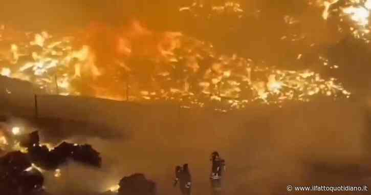 Incendi boschivi: in Italia raddoppia la superficie in fumo. Nel 2025 bruciata un’area grande come la provincia di Pistoia