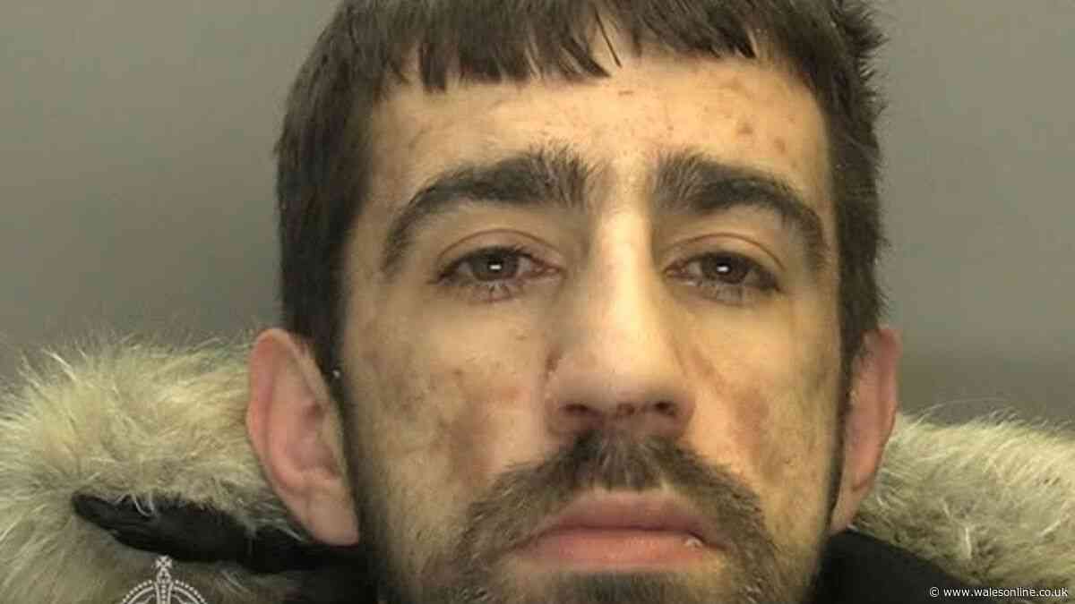 He was stopped for illegally riding an E-bike in Cardiff. His problems had only just begun