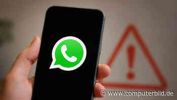 WhatsApp-Studie warnt vor Business-Konten