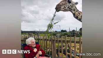 Woman spends 102nd birthday feeding giraffes