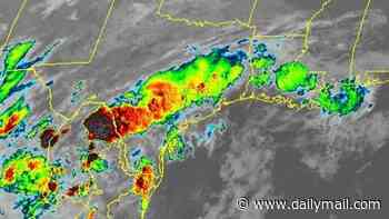 Odds of a storm forming in the Gulf of America increase as hurricane trackers put three states on alert