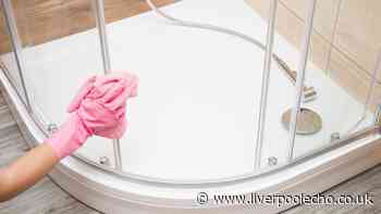 Remove limescale from shower screens with 2 simple ingredients cleaner loves