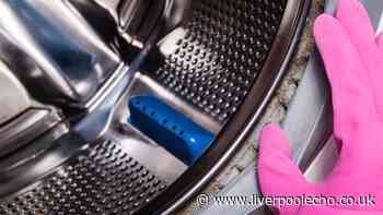 Washing machine mildew will vanish with 2 common items added to the drum