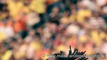 Elefanten gegen die deutsche Mauer