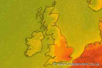 Weather map: Where temperatures could reach 29C this week as UK heat health alerts issued